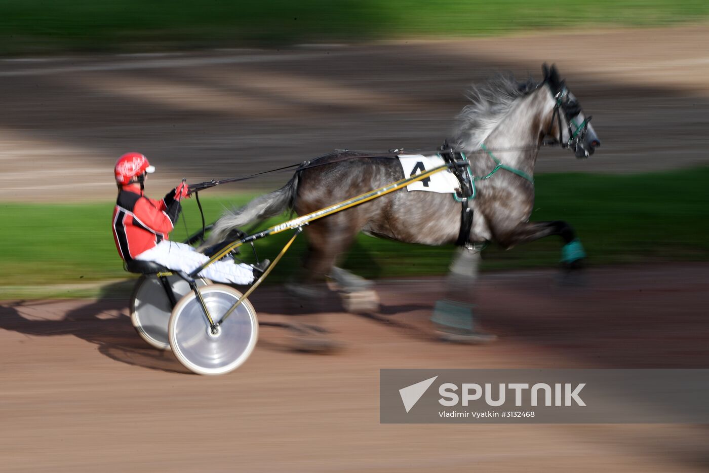 Radio Monte Carlo Grand Prix horse race