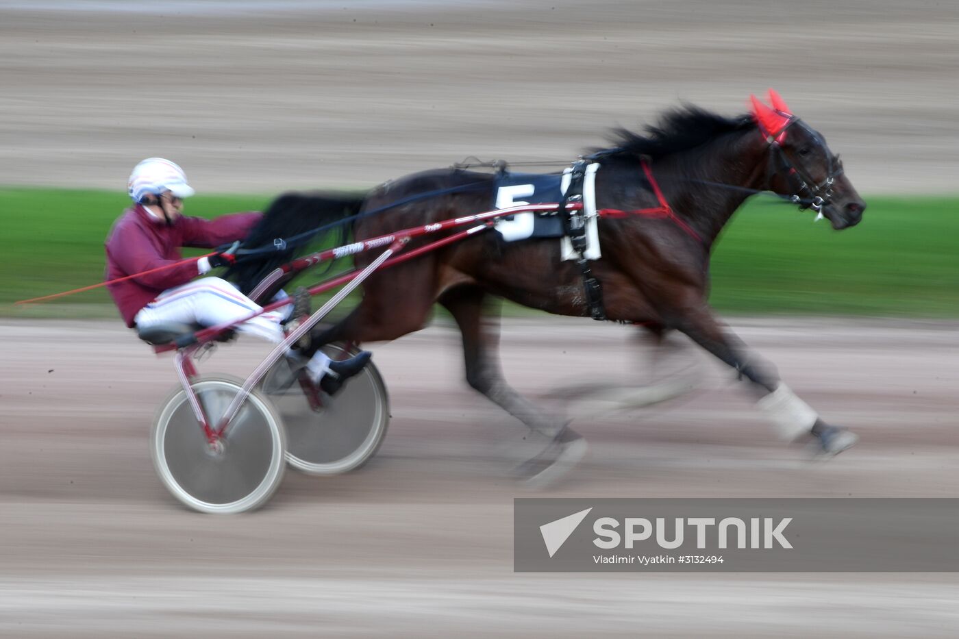 Radio Monte Carlo Grand Prix horse race