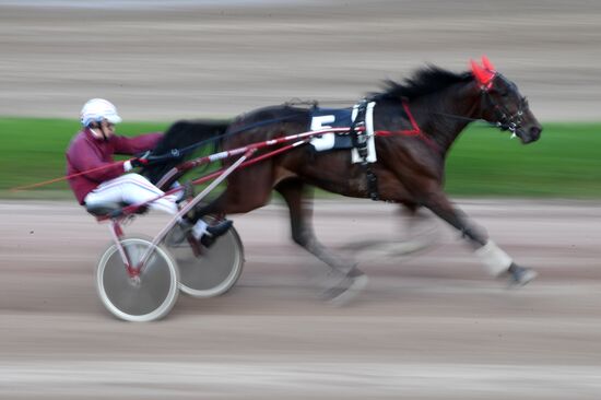 Radio Monte Carlo Grand Prix horse race
