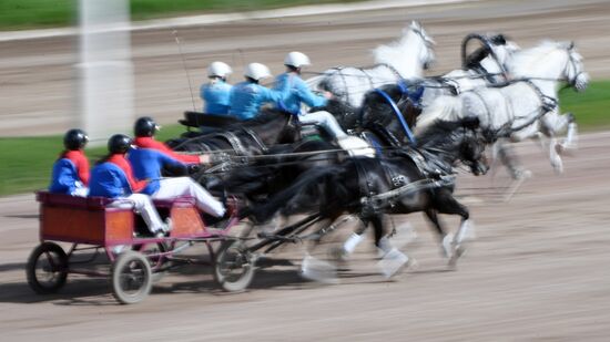 Radio Monte Carlo Grand Prix horse race