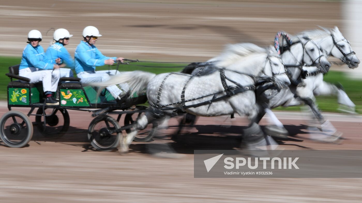 Radio Monte Carlo Grand Prix horse race