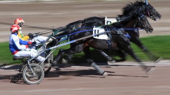 Radio Monte Carlo Grand Prix horse race