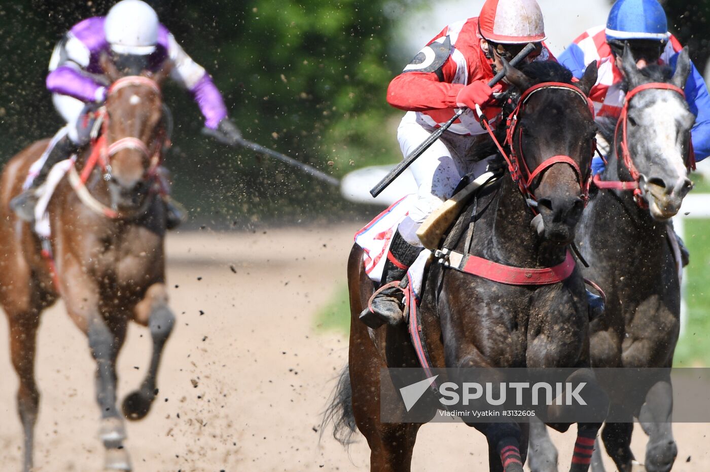 Radio Monte Carlo Grand Prix horse race