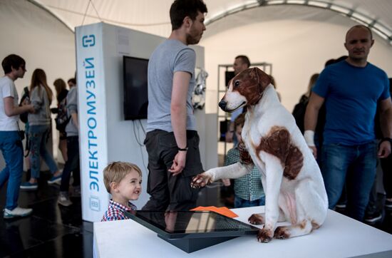 Kaspersky Geek Picnic: A Beautiful Mind 2017 festival of science, technology and arts