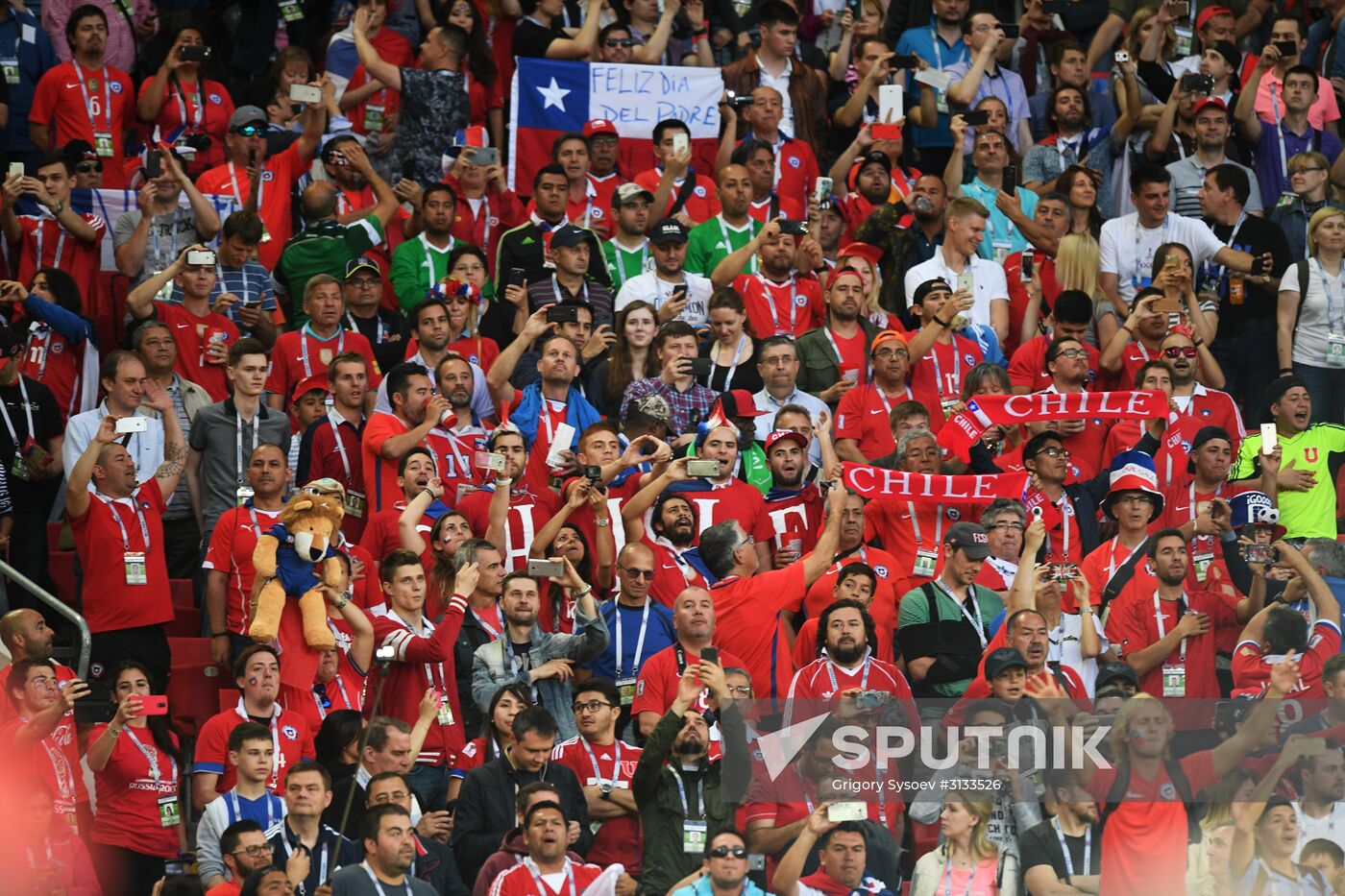 Football. 2017 FIFA Confederations Cup. Cameroon vs. Chile