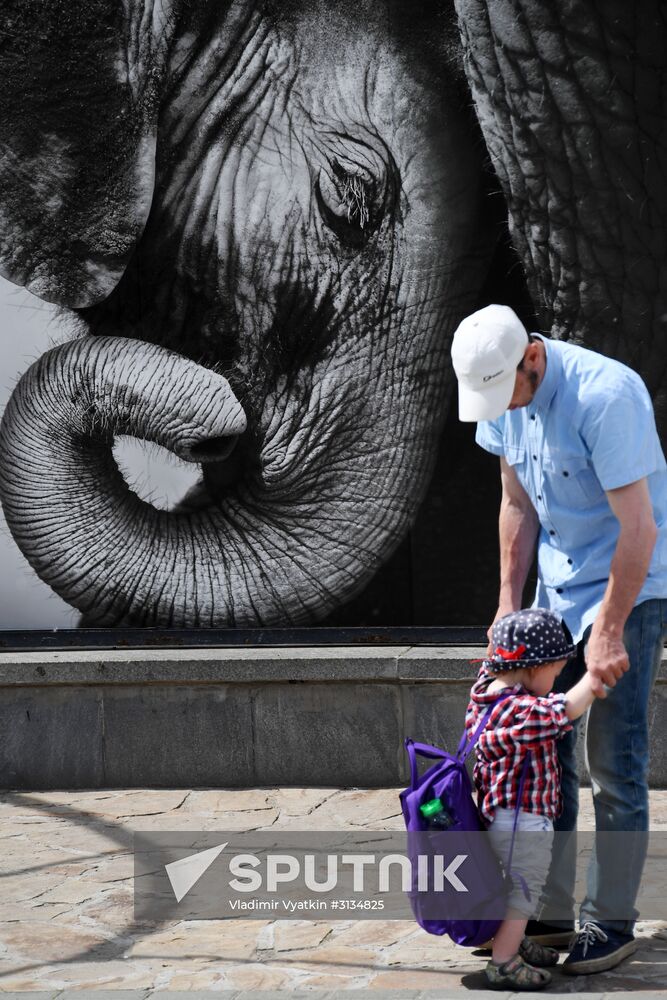 Asian elephant calf born at the Moscow Zoo