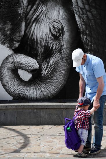 Asian elephant calf born at the Moscow Zoo