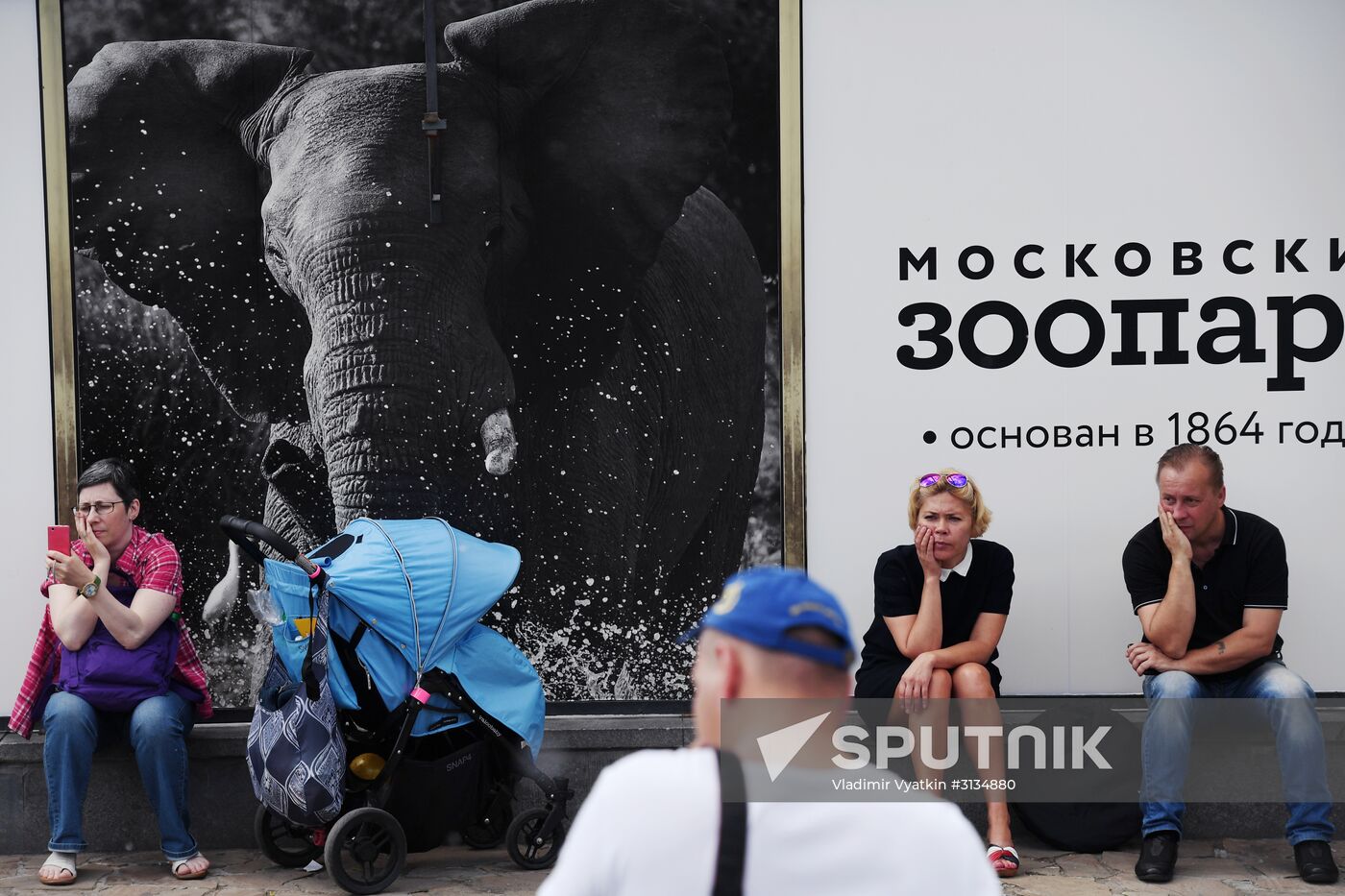 Asian elephant calf born at the Moscow Zoo