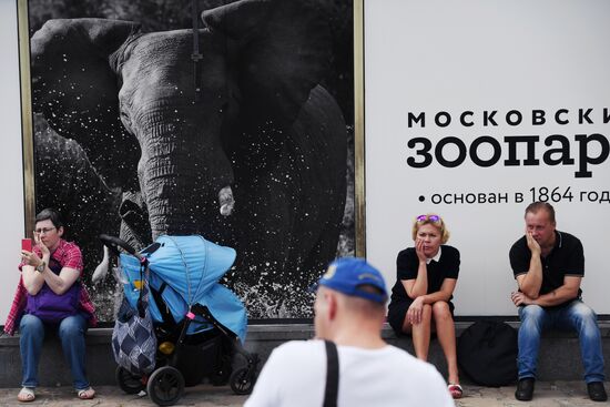 Asian elephant calf born at the Moscow Zoo