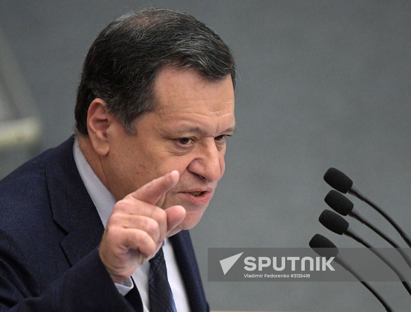 State Duma plenary meeting