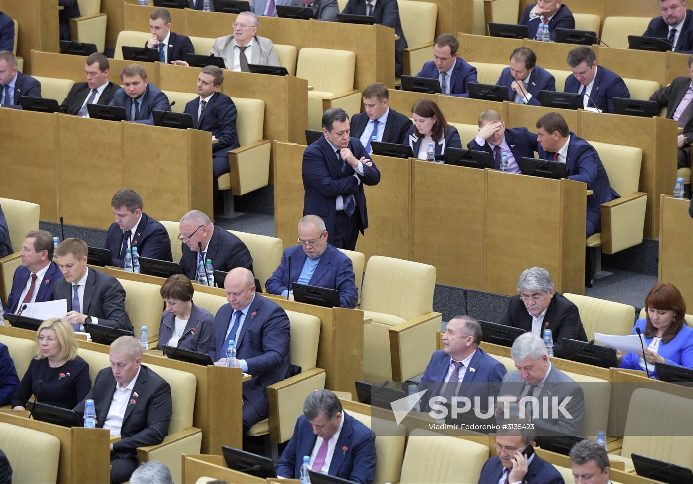 State Duma plenary meeting