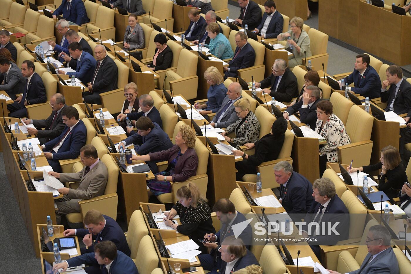 State Duma plenary meeting