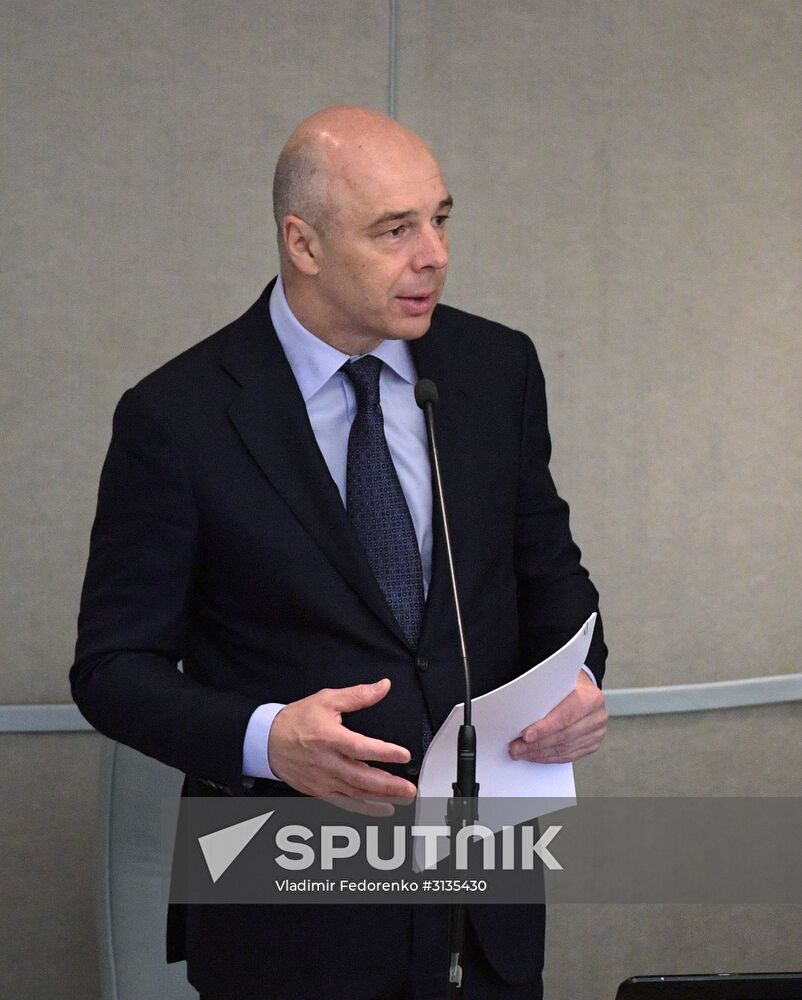 State Duma plenary meeting