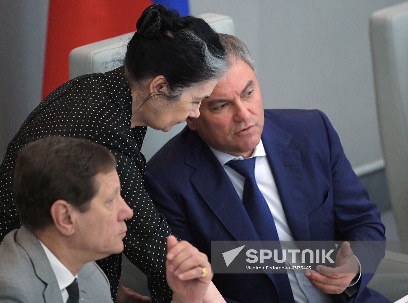 State Duma plenary meeting