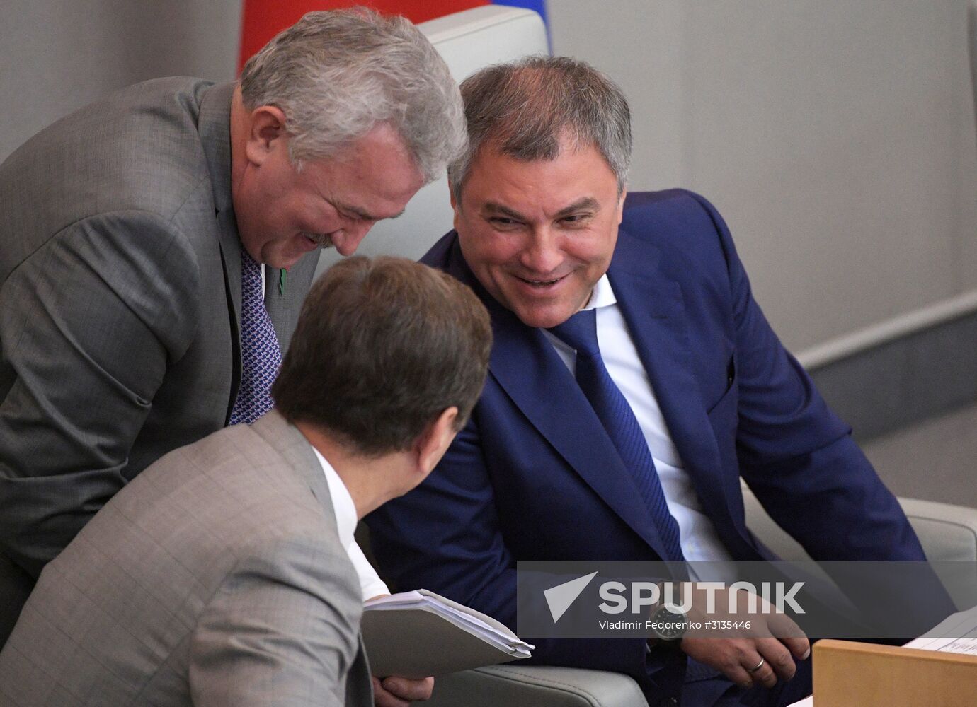 State Duma plenary meeting