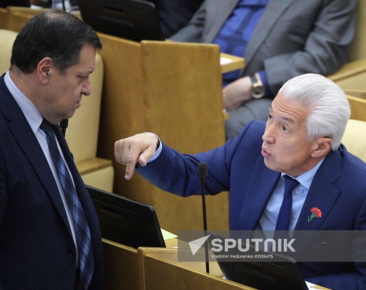 State Duma plenary meeting