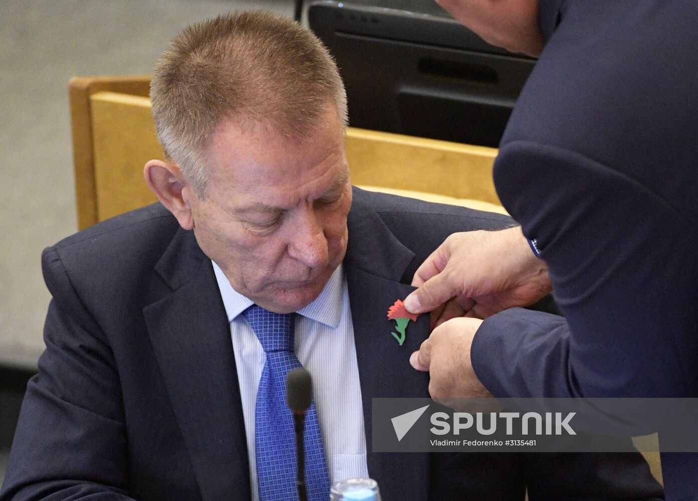 State Duma plenary meeting