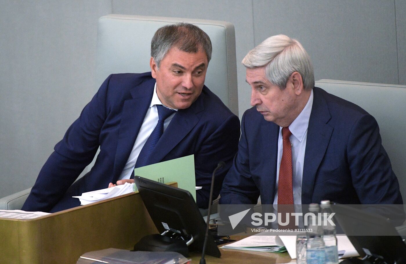 State Duma plenary meeting
