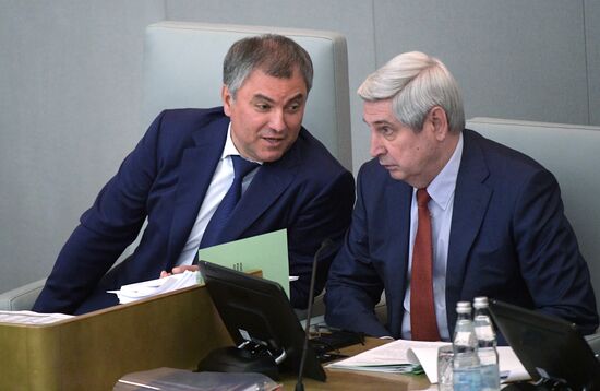 State Duma plenary meeting