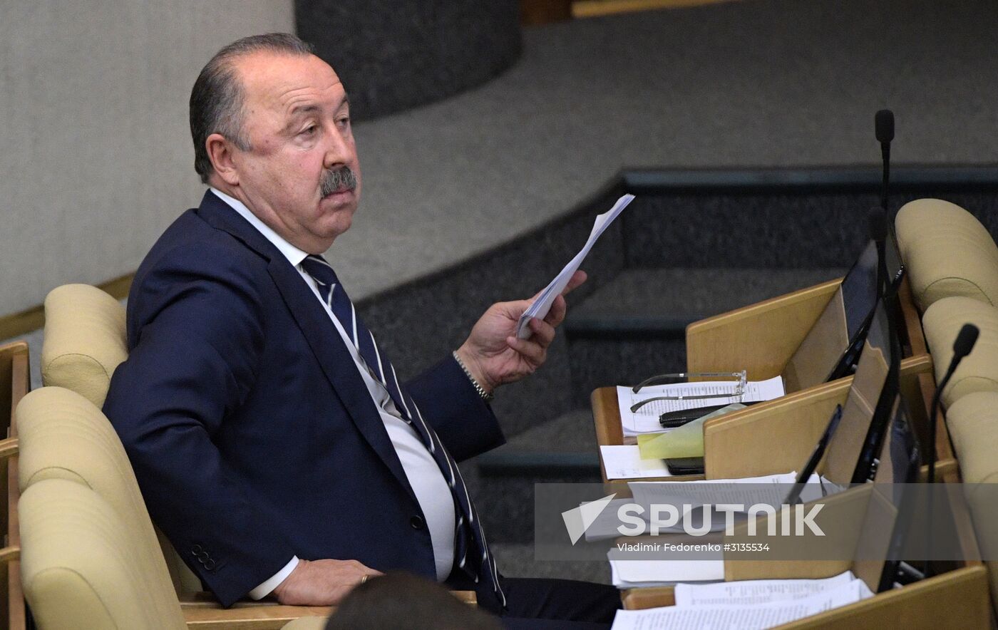 State Duma plenary meeting