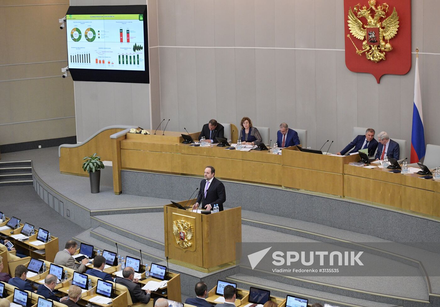 State Duma plenary meeting