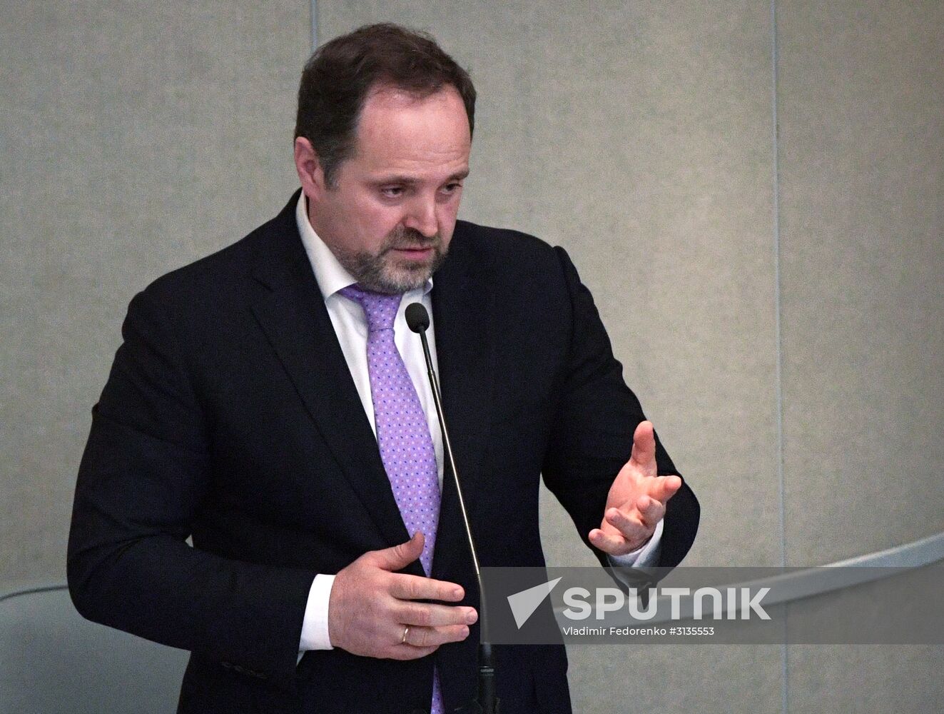 State Duma plenary meeting