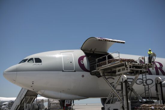 Hamad International Airport in Doha