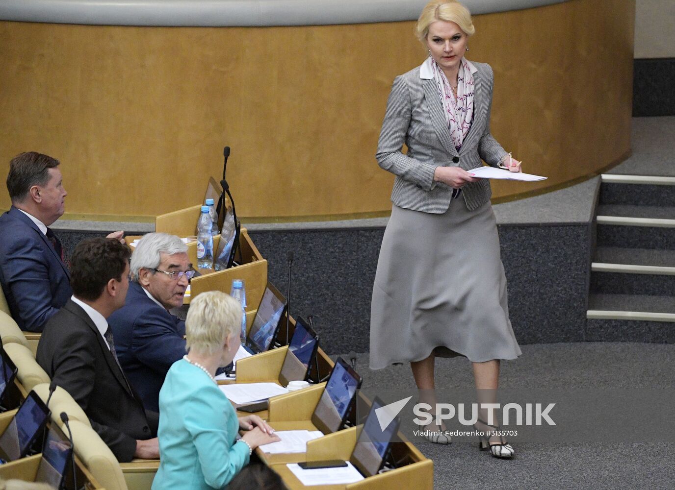 State Duma plenary meeting