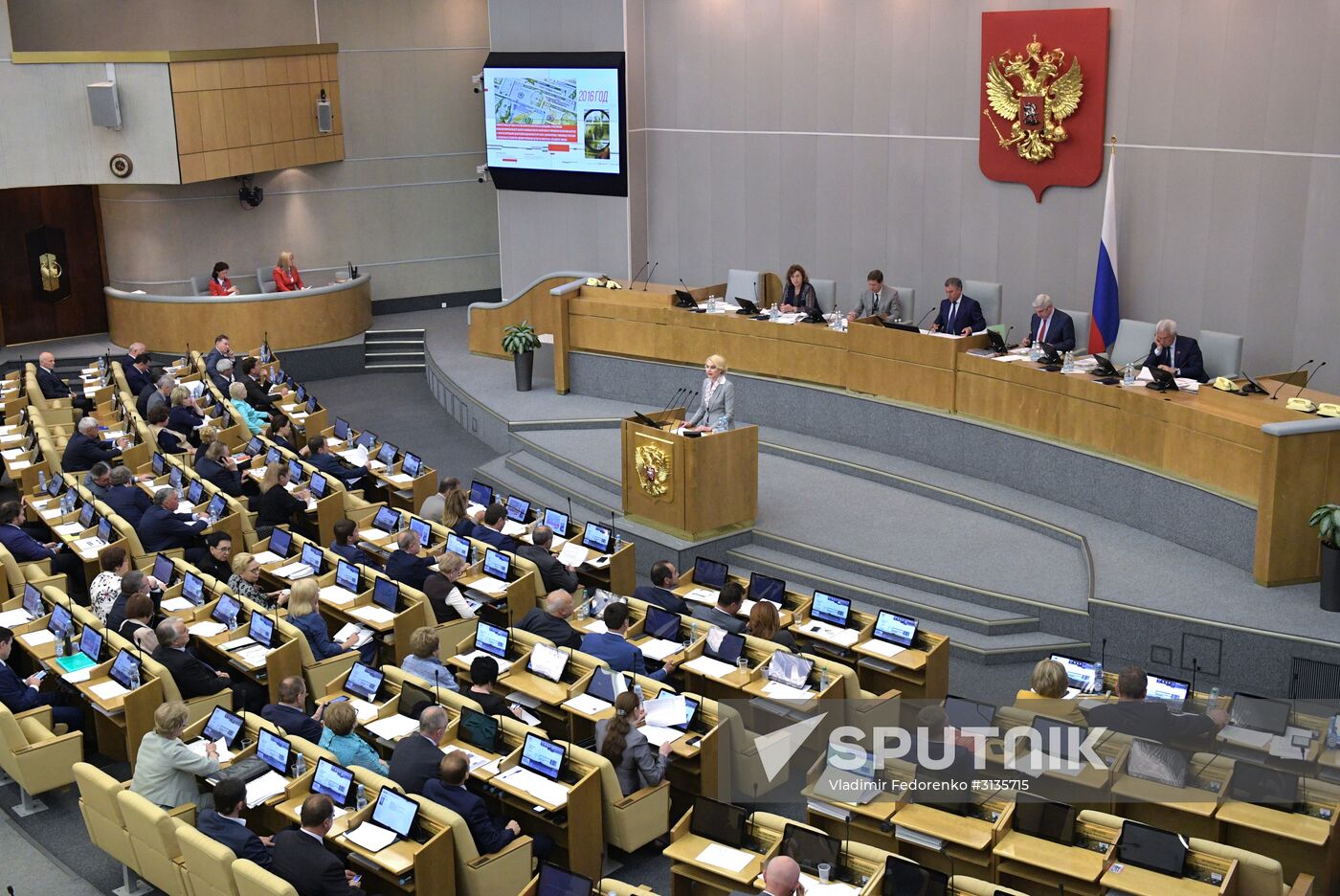 State Duma plenary meeting
