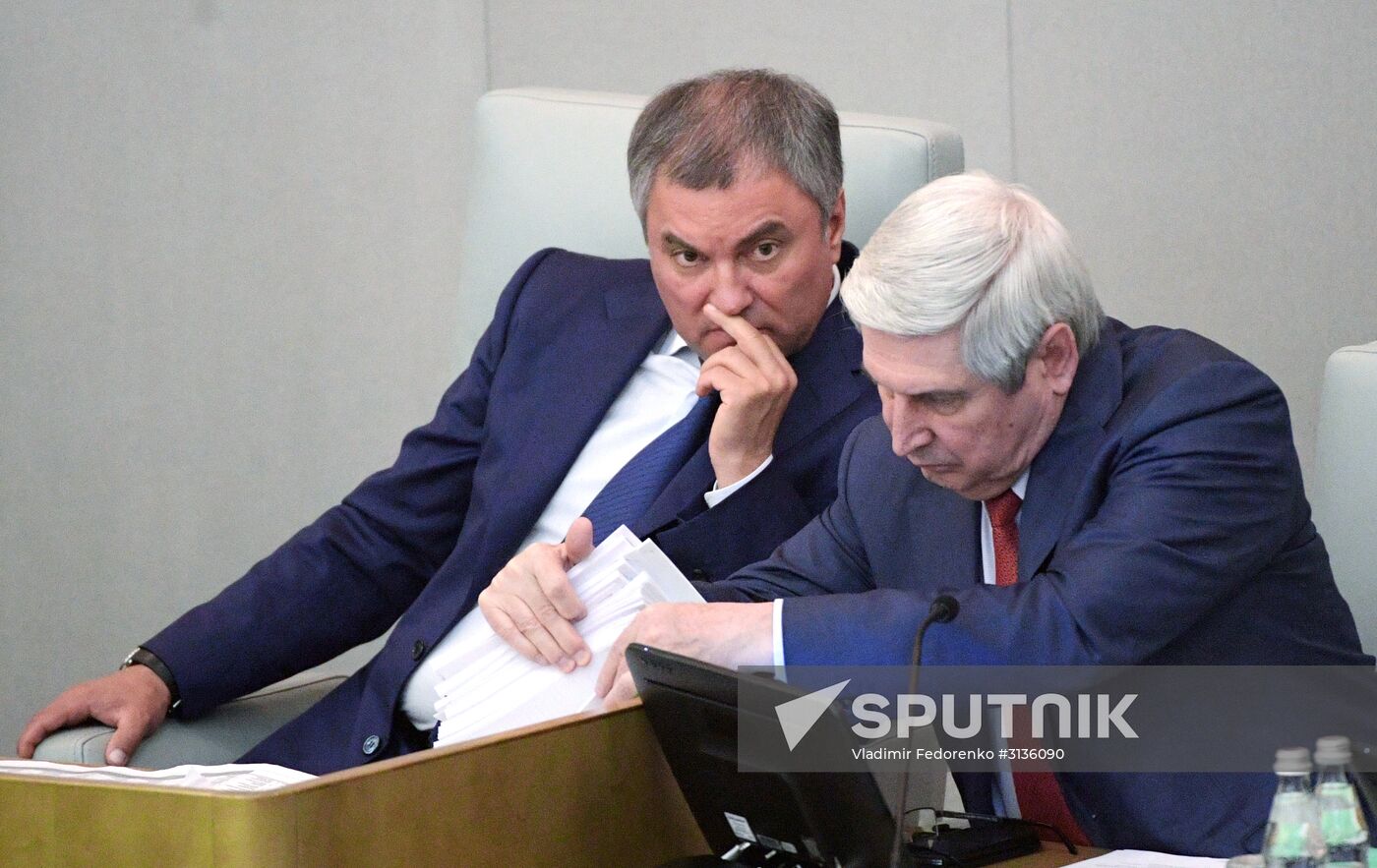 State Duma plenary meeting