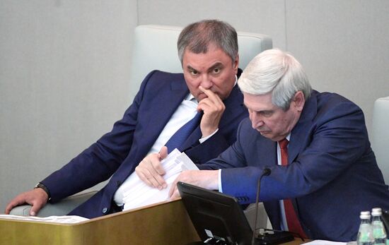 State Duma plenary meeting
