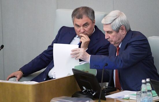 State Duma plenary meeting