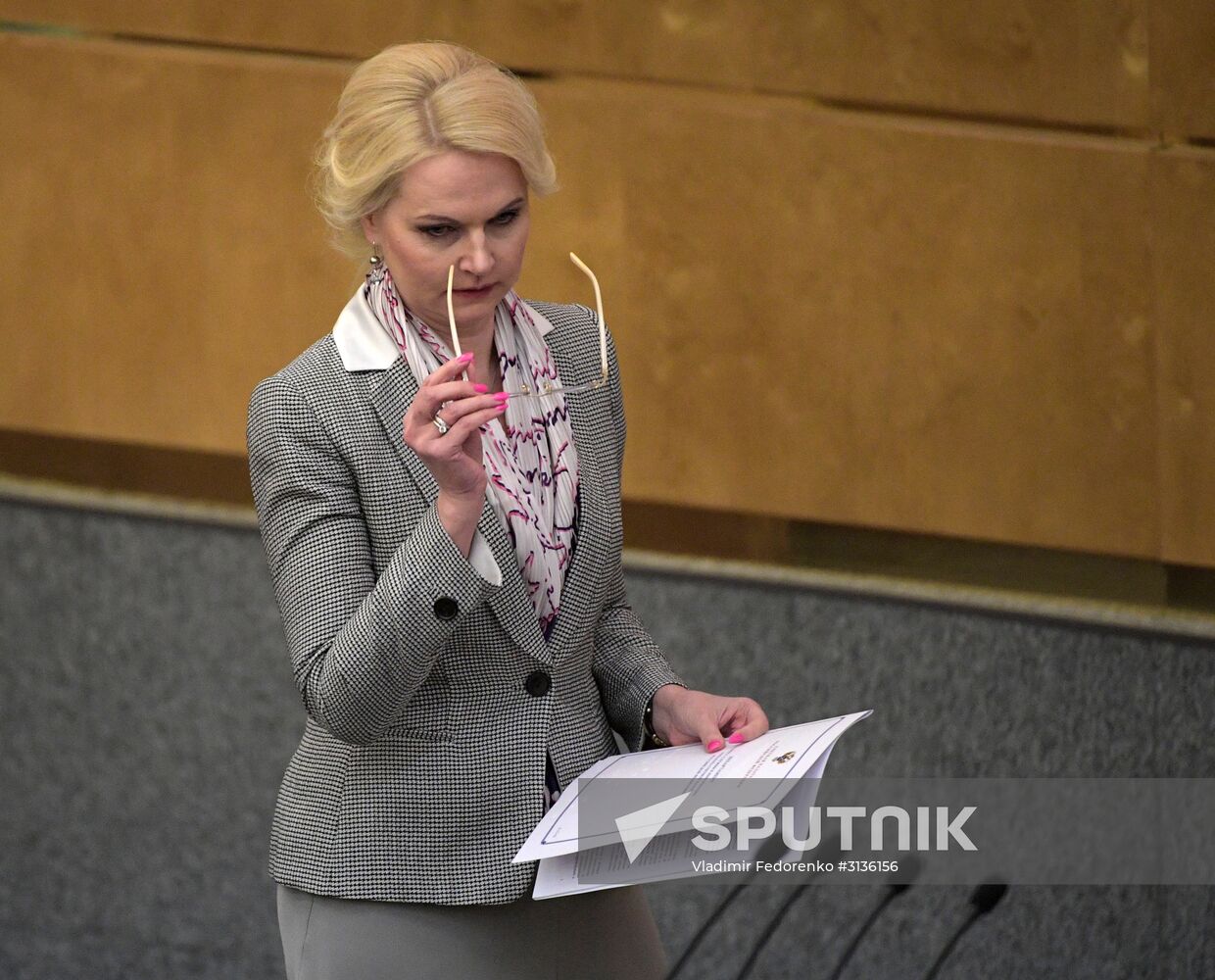 State Duma plenary meeting