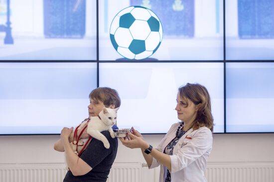 Achilles the cat predicts Australia's victory in Confederations Cup match against Cameroon