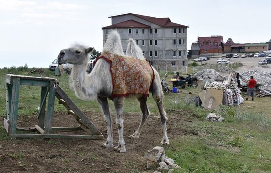 Demolition of illegal structures on Ai-Petri plateau nears completion