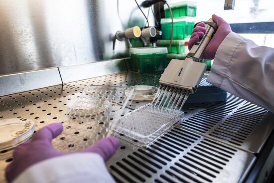 Special Medical Equipment, Technology and Pharmaceuticals Lab in Dolgoprudny