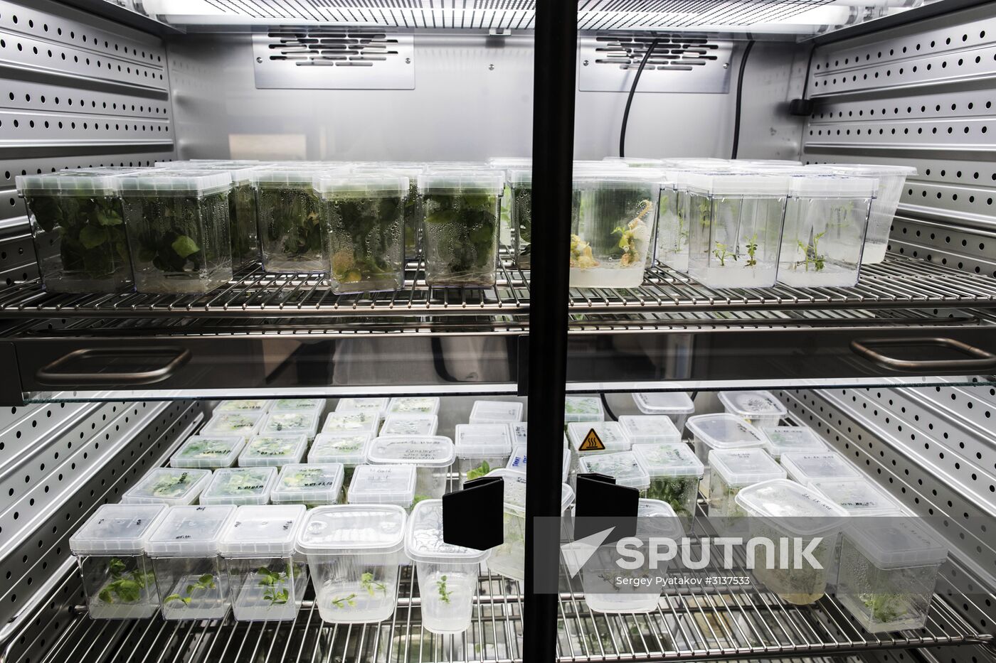 Special Medical Equipment, Technology and Pharmaceuticals Lab in Dolgoprudny