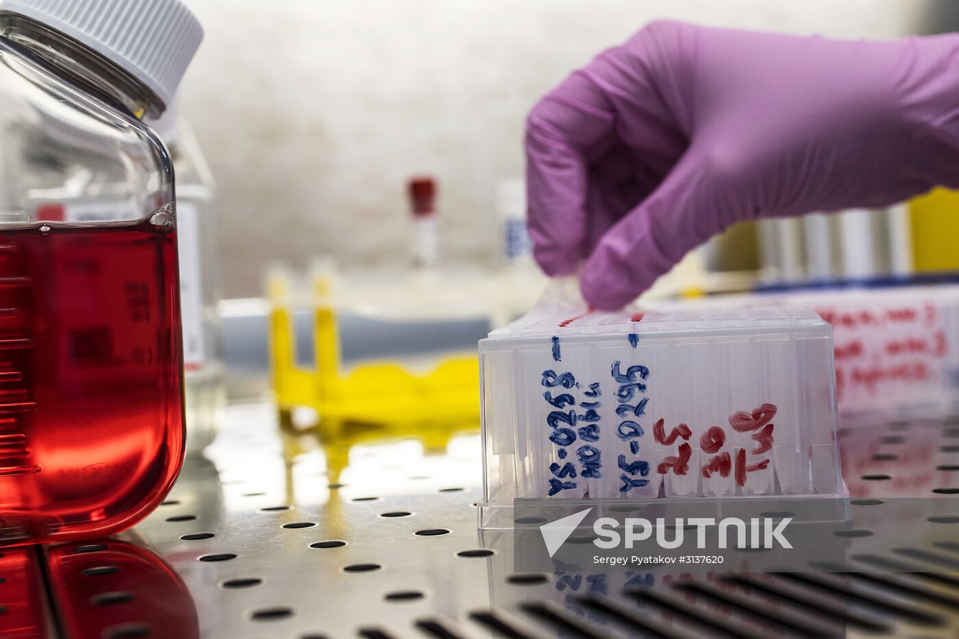 Special Medical Equipment, Technology and Pharmaceuticals Lab in Dolgoprudny