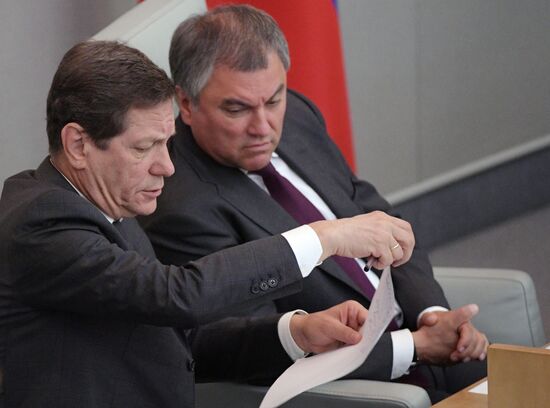 State Duma plenary meeting