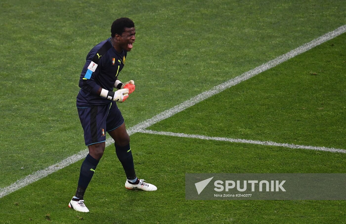 Football. 2017 FIFA Confederations Cup. Germany vs. Cameroon