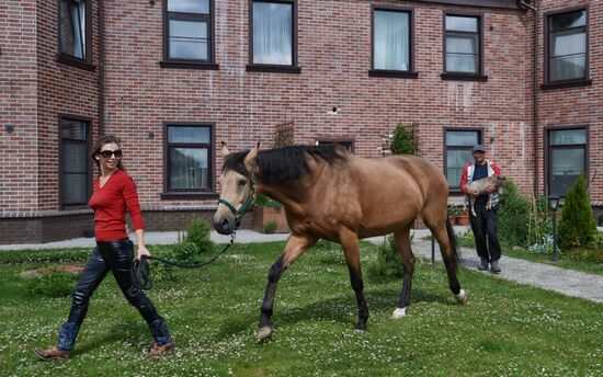 World's smallest foal born in Leningrad Region