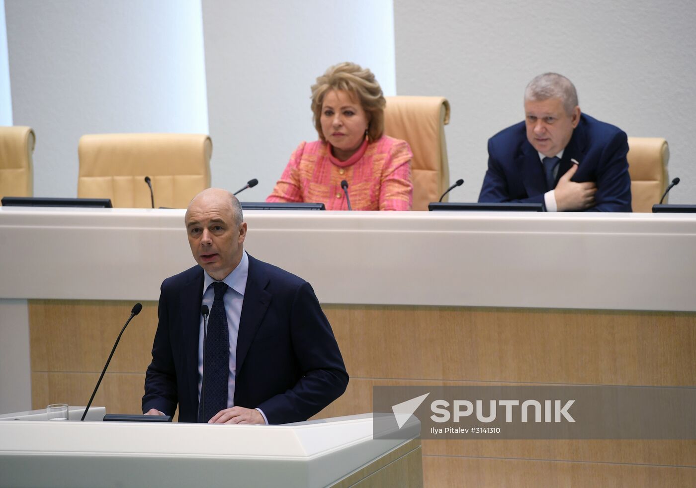 Federation Council holds session