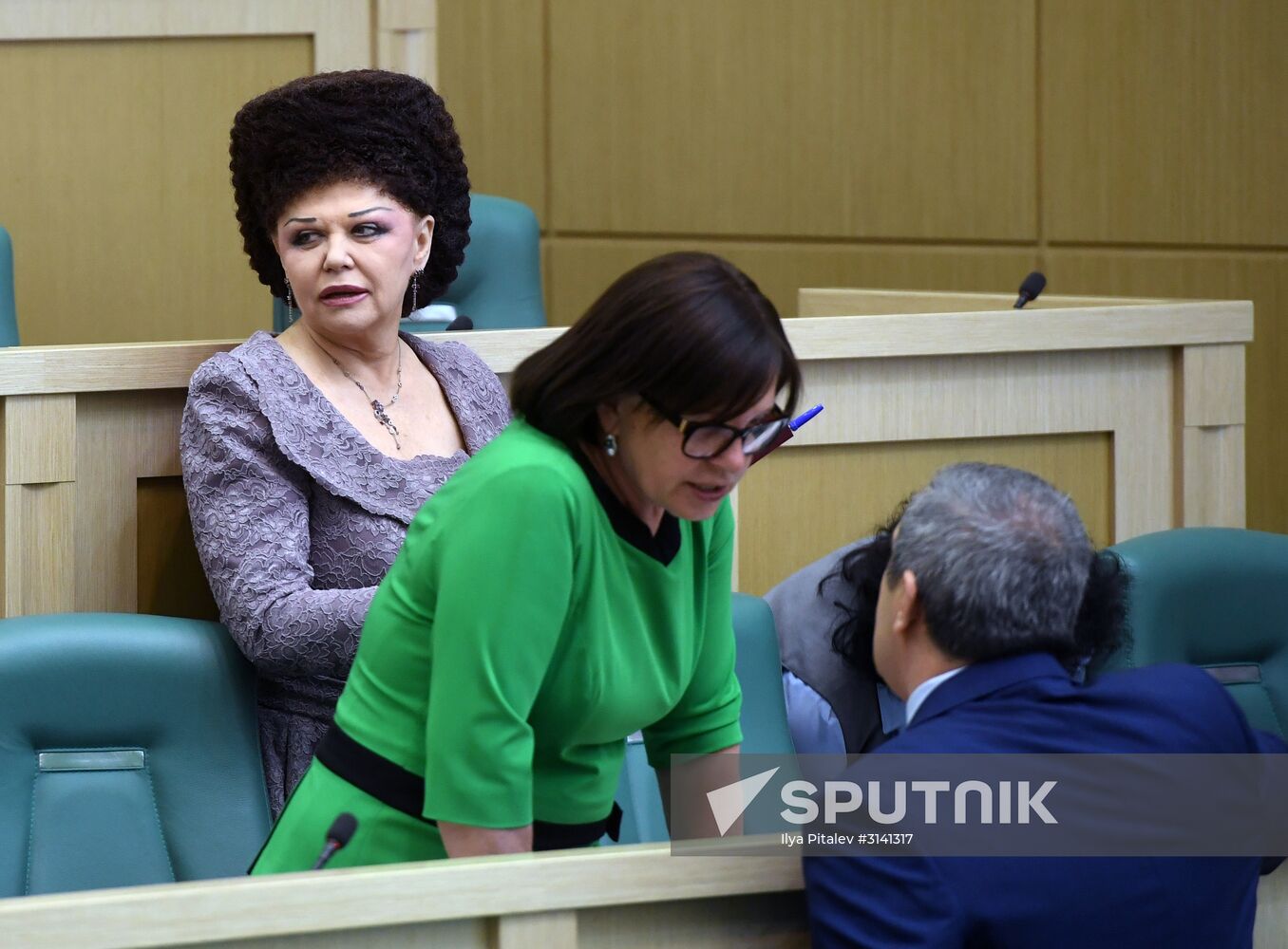 Federation Council holds session