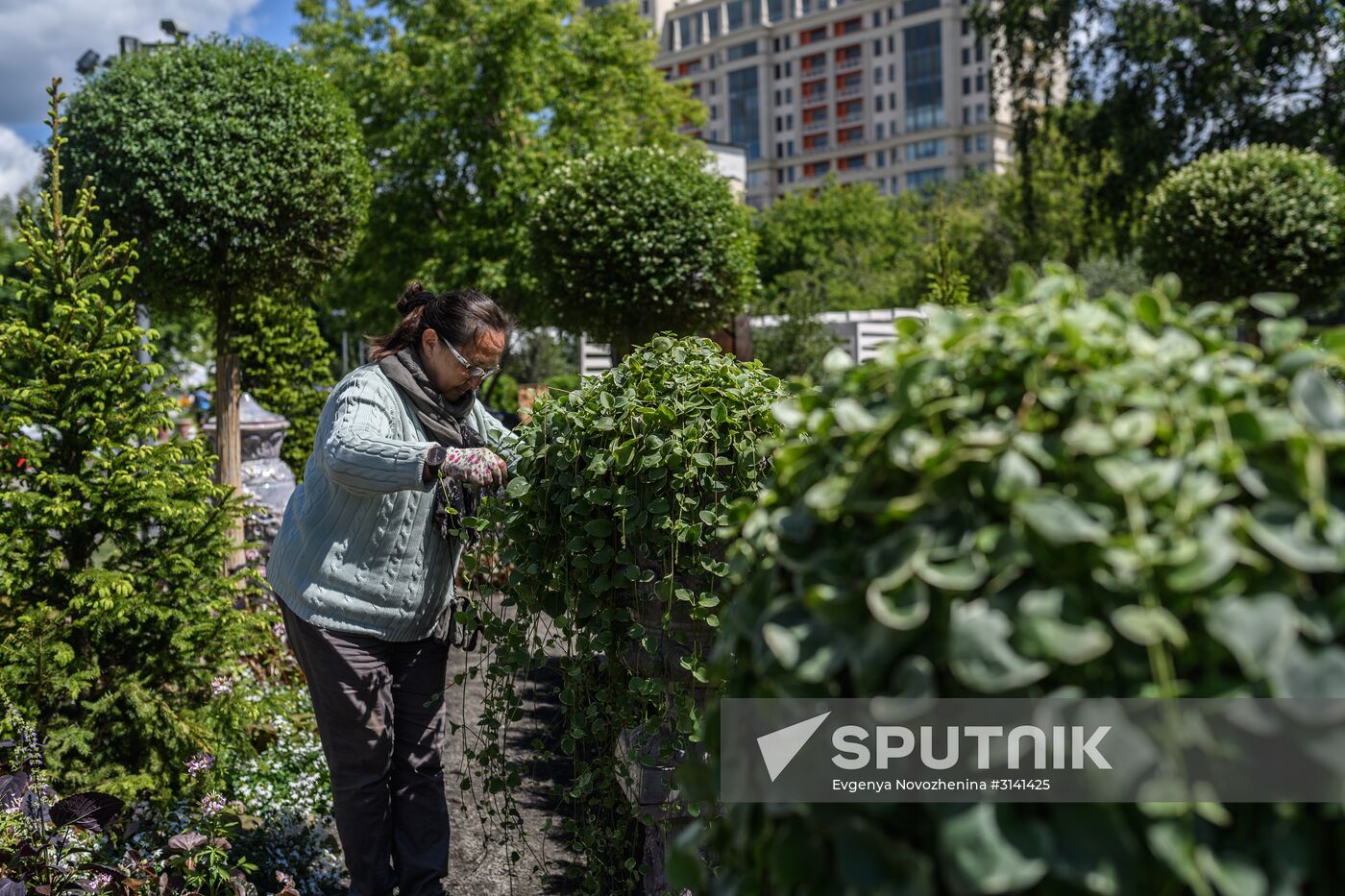 Sixth Moscow Flower Show in Muzeon Park