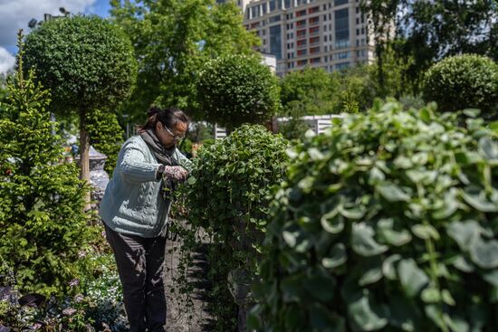 Sixth Moscow Flower Show in Muzeon Park