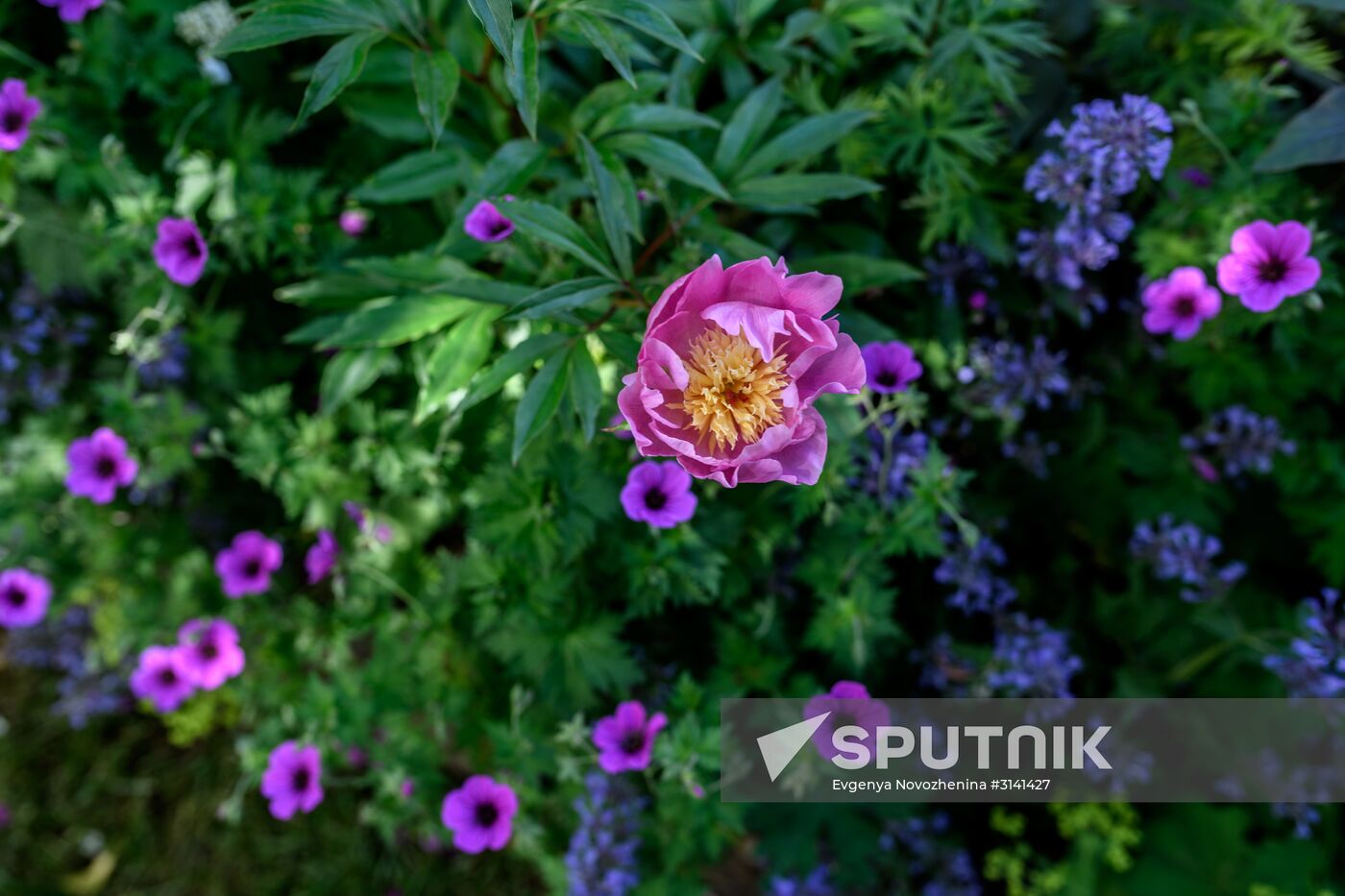 Sixth Moscow Flower Show in Muzeon Park