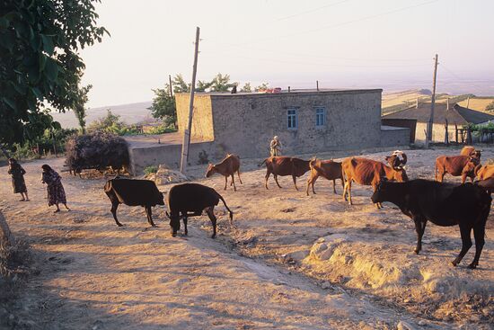 Dagestan