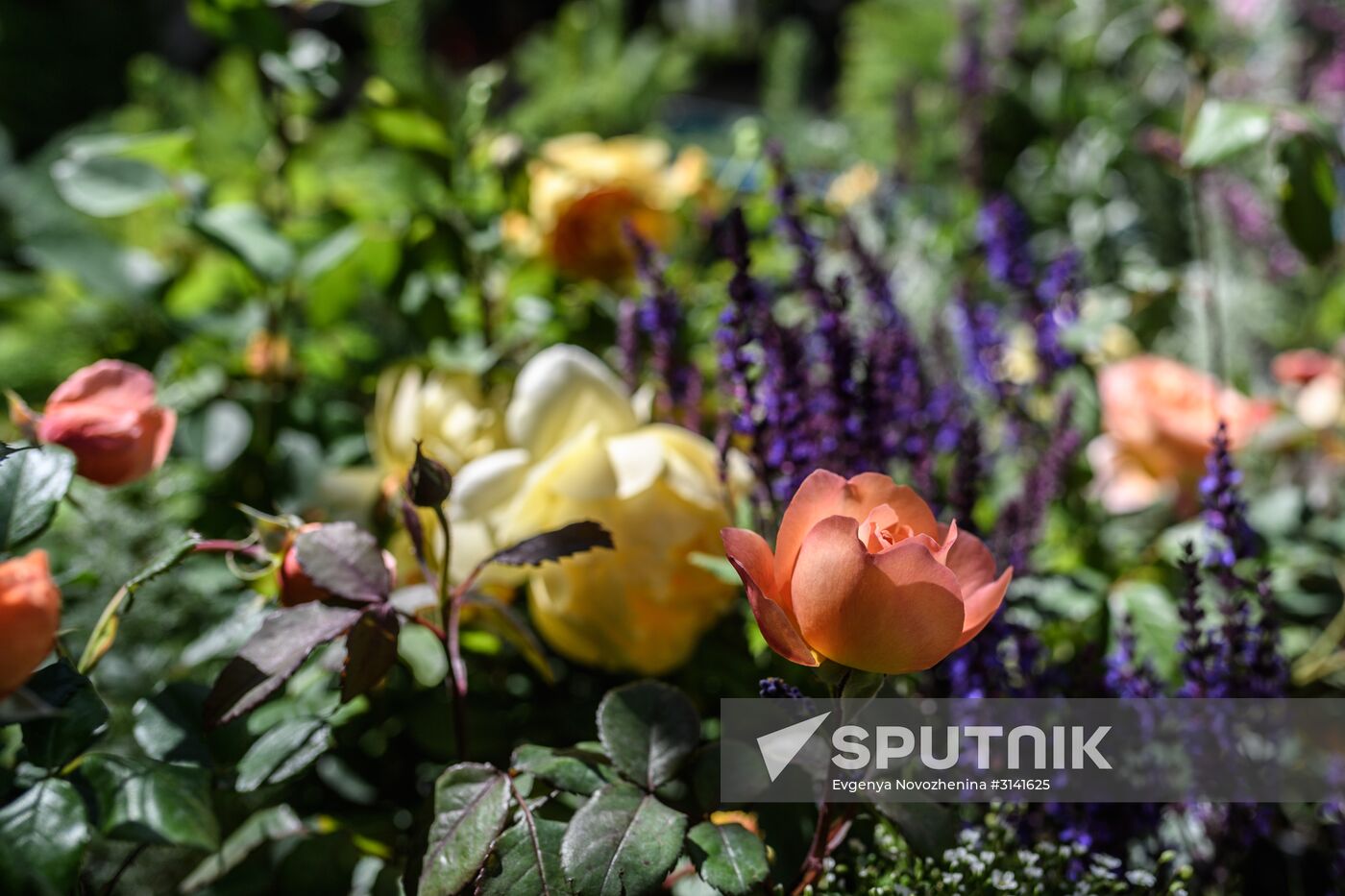 Sixth Moscow Flower Show in Muzeon Park