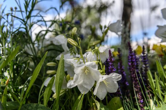 Sixth Moscow Flower Show in Muzeon Park