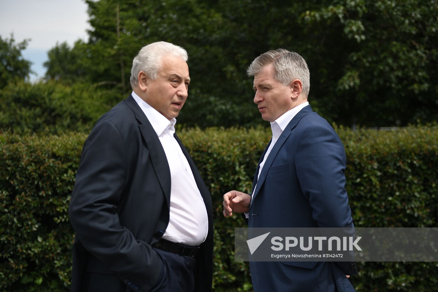 Presentation of Moskva rose cultivar